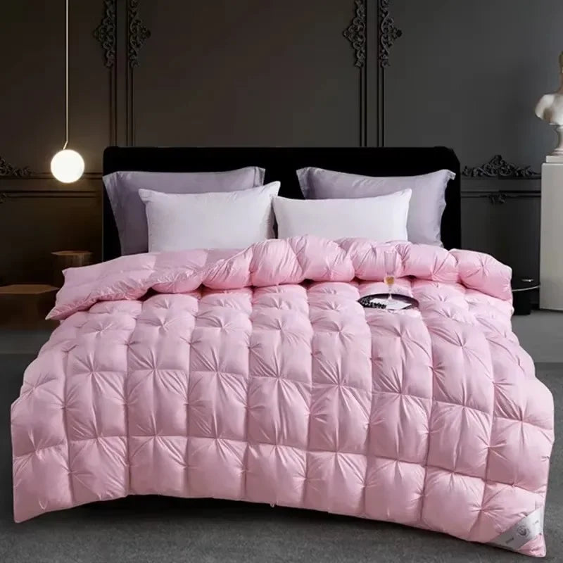 Couette Duvet Oie Premium