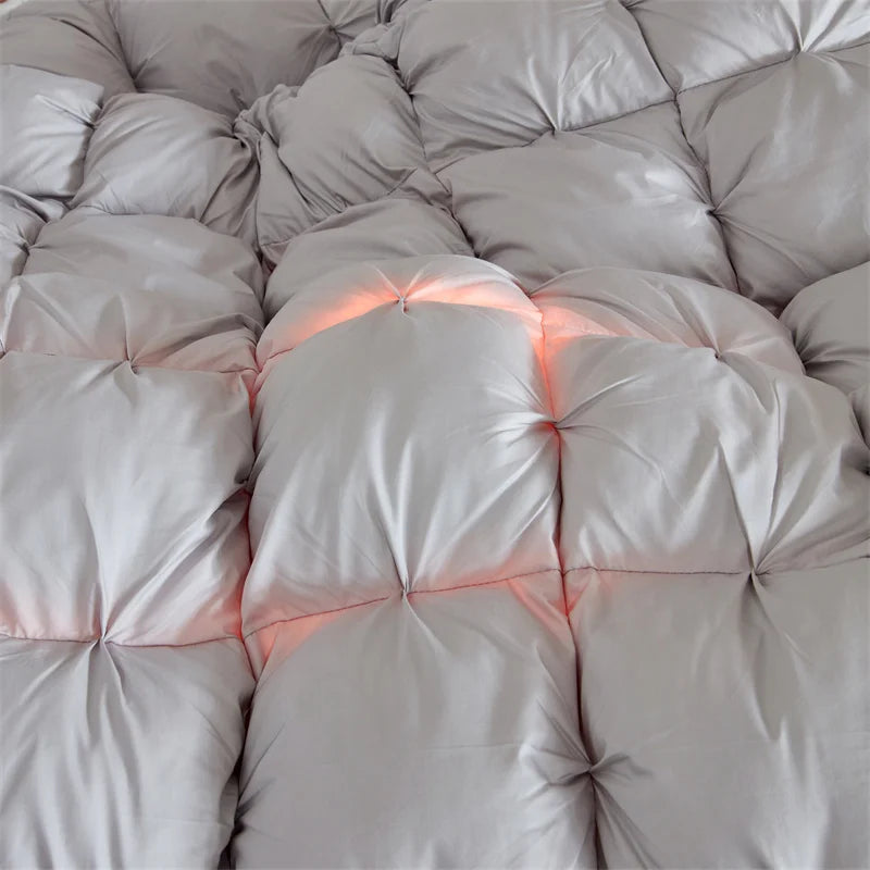 Couette Duvet Oie Premium