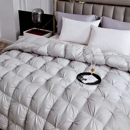 Couette Duvet Oie Premium
