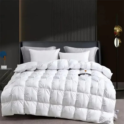 Couette Duvet Oie Premium